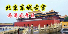 啊啊啊爽死了好大鸡巴视频欧美黑人中国北京-东城古宫旅游风景区